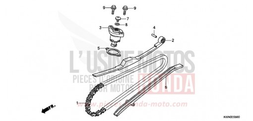 CAM CHAIN/TENSIONER WW125D de 2013